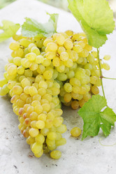 Similar image 7361649