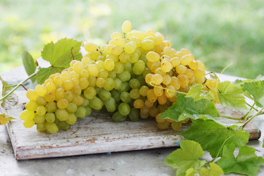 Similar image 7361650