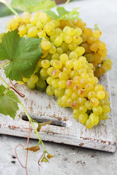 Similar image 7361652