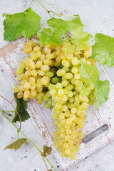 Similar image 7361654