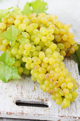 Similar image 7361658