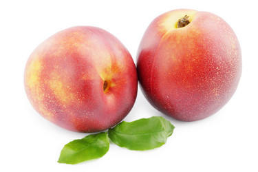 Similar image 7361770