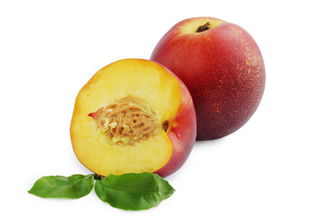 Similar image 7361771