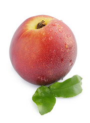 Similar image 7361773