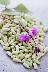 Similar image 7361811