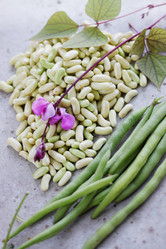 Similar image 7361813