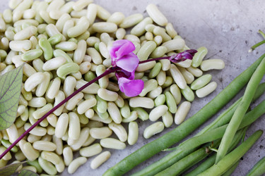 Similar image 7361814