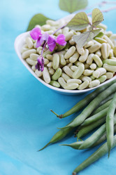 Similar image 7361816