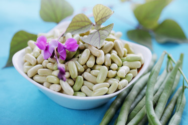 Similar image 7361817