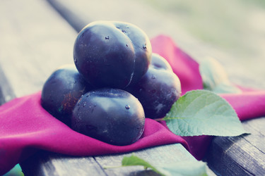 Similar image 7361818