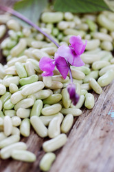 Similar image 7361819