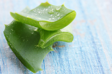 Similar image 7361829