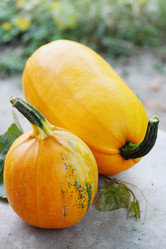 Similar image 7361830