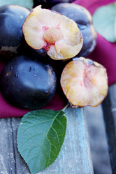 Similar image 7361866