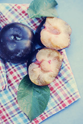 Similar image 7361869