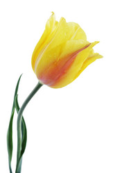 Similar image 7361877