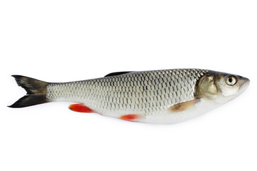 Similar image 7361893