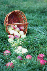 Similar image 7361897