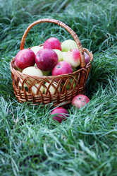 Similar image 7361917