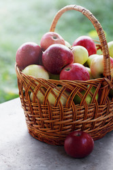 Similar image 7361919