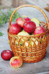 Similar image 7361923