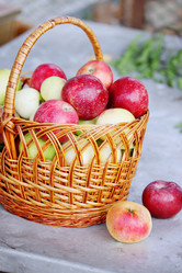 Similar image 7361925