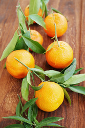 Similar image 7361929