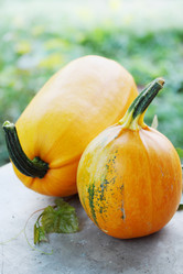 Similar image 7361936