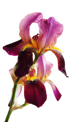 Similar image 7361953