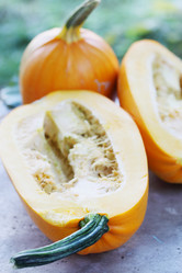 Similar image 7362028