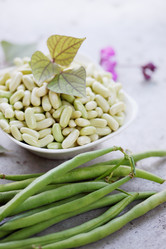 Similar image 7362030