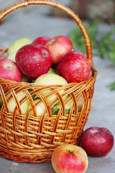 Similar image 7362034