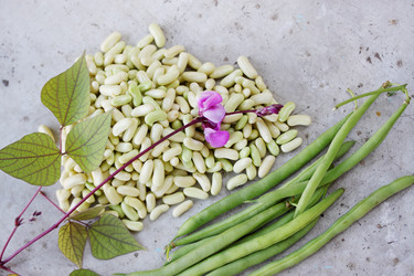 Similar image 7362035