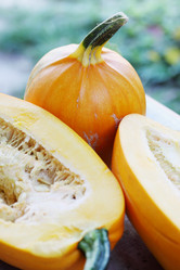 Similar image 7362036