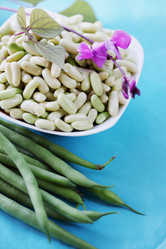 Similar image 7362037