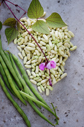 Similar image 7362038