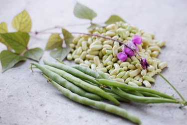 Similar image 7362039