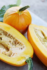 Similar image 7362041