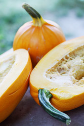 Similar image 7362042