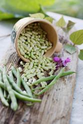 Similar image 7362043