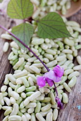 Similar image 7362045