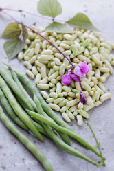 Similar image 7362048