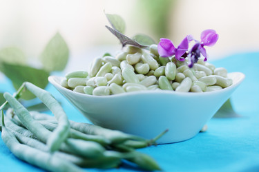 Similar image 7362050