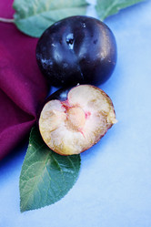 Similar image 7362073