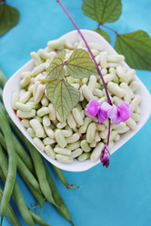 Similar image 7362075