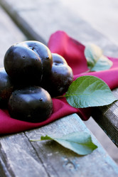 Similar image 7362076