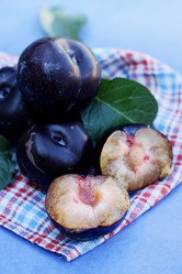 Similar image 7362079