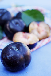 Similar image 7362080