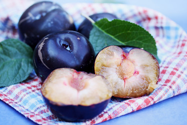 Similar image 7362081