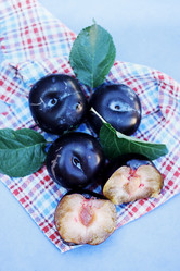 Similar image 7362082